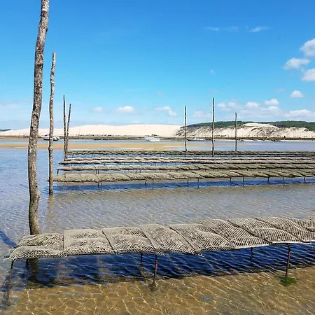 Lägenhet Triplex Calme Avec Terrasse, Climatisation, Proche Et Commerces A - Fr-1-474-249 Arcachon