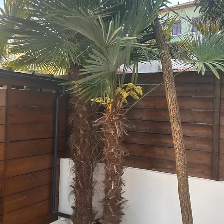 Triplex Calme Avec Terrasse, Climatisation, Proche Et Commerces A - Fr-1-474-249 ארסשון